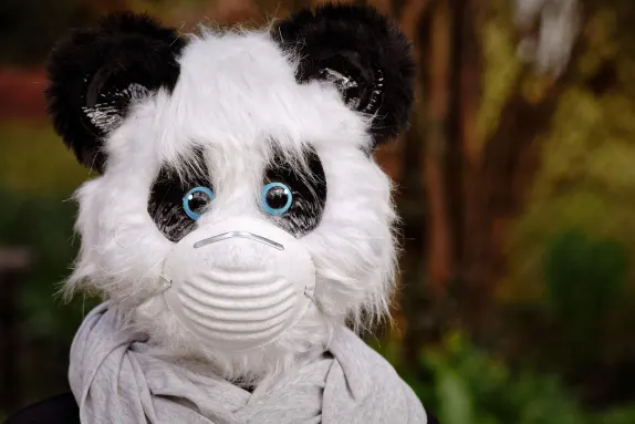 Kasino Mars Bet Podpora